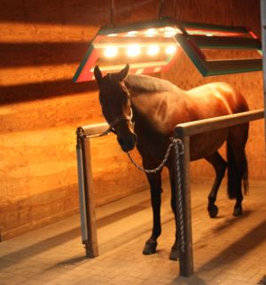 Solarium.JPG