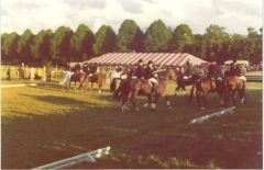 20240527-144430 - Quadrille.jpg