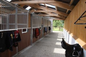 Stallgasse im Nordstall.JPG