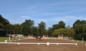 IMG_20190907_083043.jpg