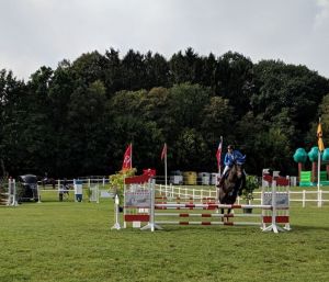 IMG_20190907_100946.jpg