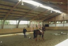 20240527-144549 - Gelassenheitstraining 2006.jpg