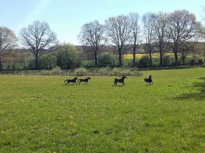 IMG-20160507-WA0012.jpg