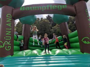 MVIMG_20190908_134646.jpg