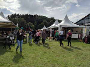 IMG_20190908_134524.jpg