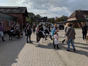 IMG_20190908_160318.jpg