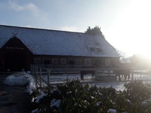 20180119_100445.jpg