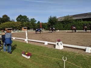 IMG_20190907_105016.jpg