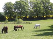 36ac.JPG